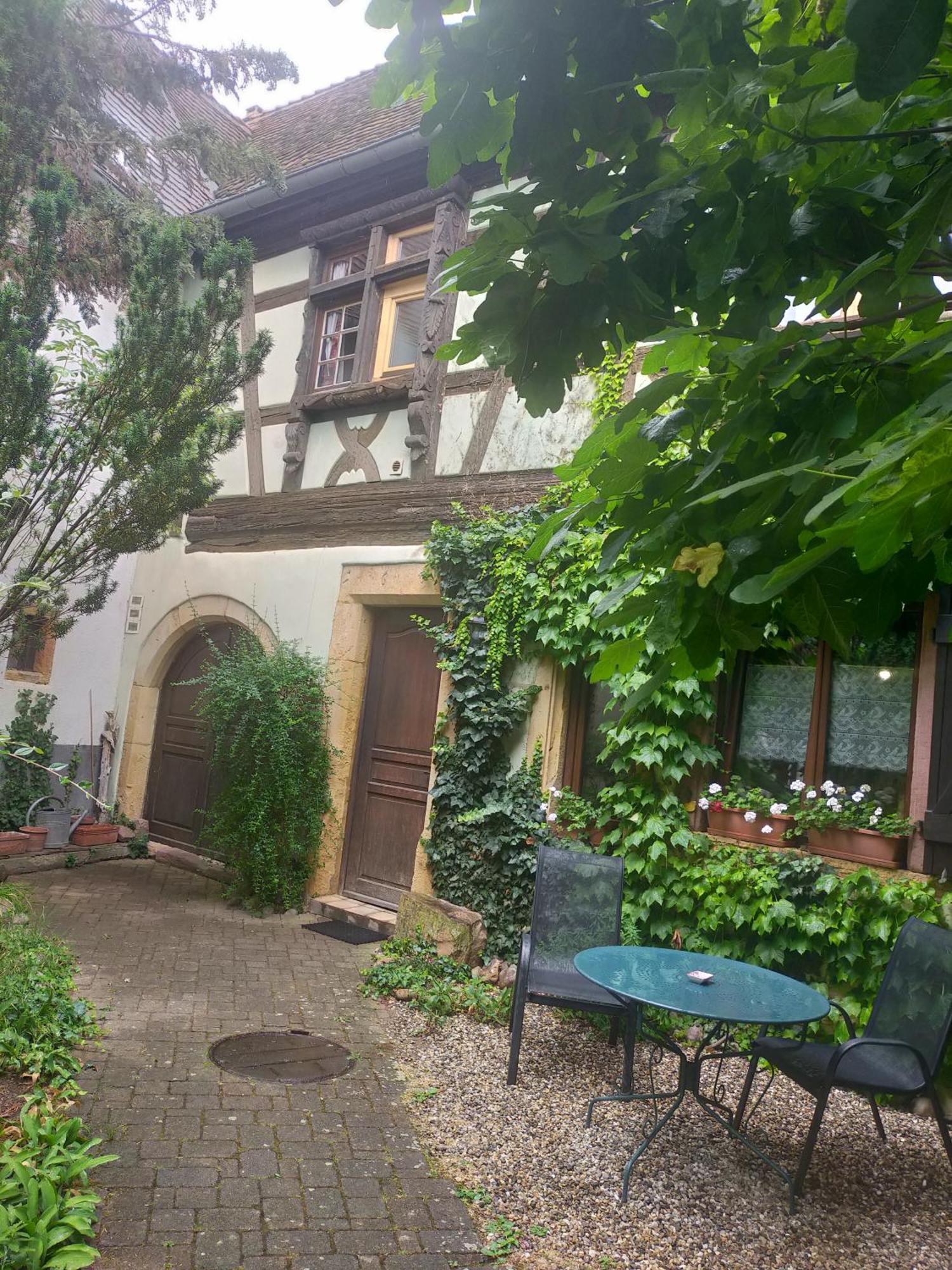 Studio La Grenouillere Тюркхайм Экстерьер фото